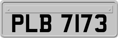 PLB7173