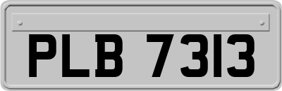 PLB7313