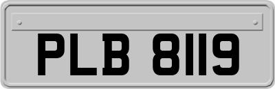 PLB8119