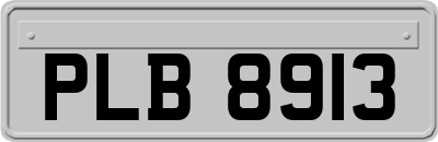 PLB8913