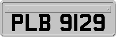 PLB9129