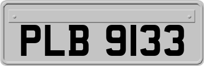 PLB9133