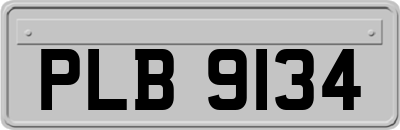 PLB9134