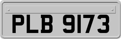 PLB9173