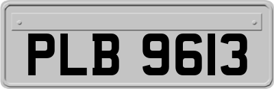 PLB9613