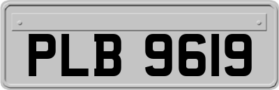 PLB9619