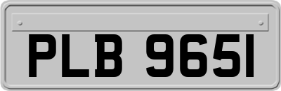 PLB9651