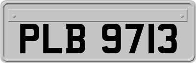 PLB9713