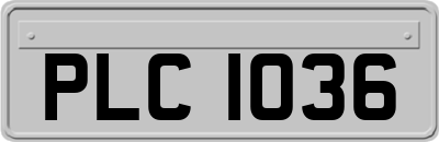 PLC1036