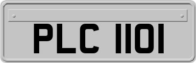 PLC1101