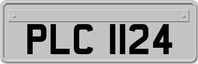 PLC1124