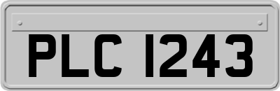 PLC1243