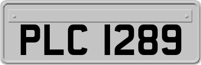 PLC1289