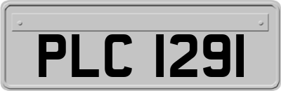 PLC1291