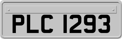 PLC1293