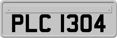 PLC1304