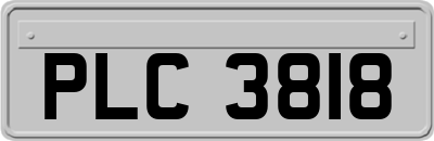 PLC3818