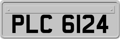 PLC6124