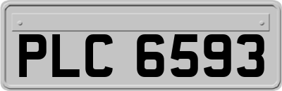 PLC6593