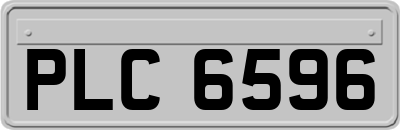 PLC6596