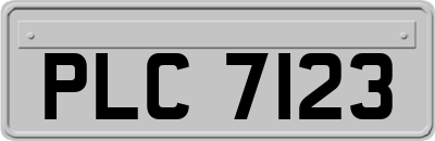 PLC7123