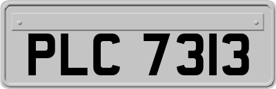 PLC7313