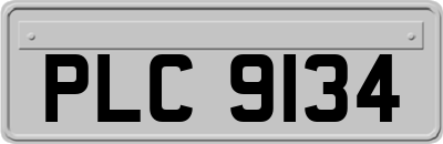 PLC9134
