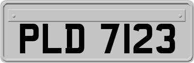 PLD7123