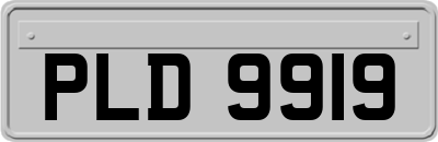 PLD9919