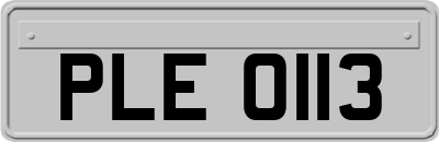 PLE0113