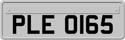 PLE0165