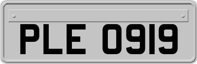 PLE0919