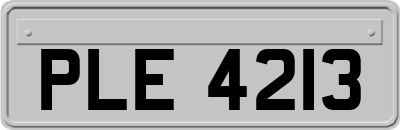 PLE4213