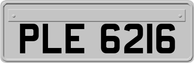 PLE6216