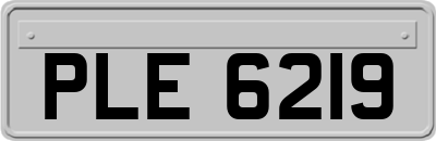 PLE6219
