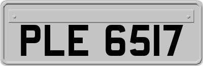 PLE6517