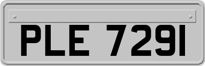 PLE7291
