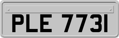 PLE7731