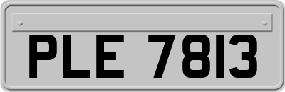 PLE7813