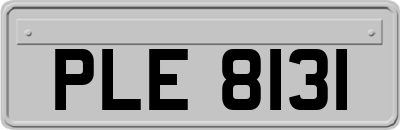 PLE8131