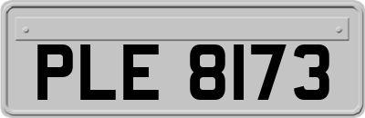 PLE8173