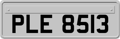 PLE8513