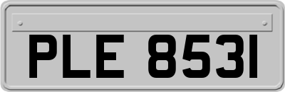 PLE8531