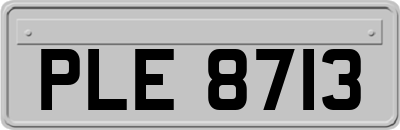 PLE8713