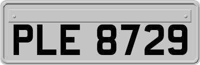 PLE8729