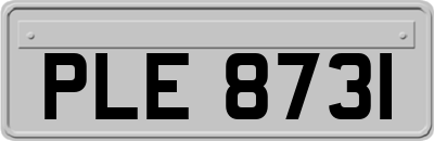 PLE8731