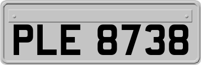 PLE8738