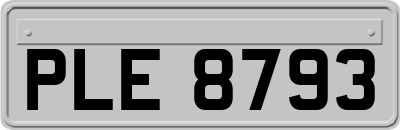 PLE8793