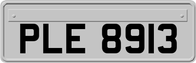 PLE8913