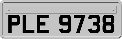 PLE9738